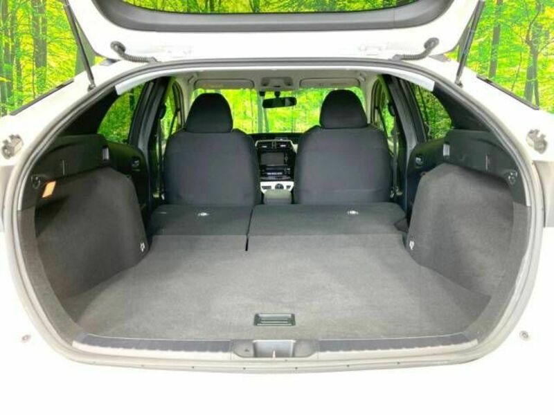PRIUS-9