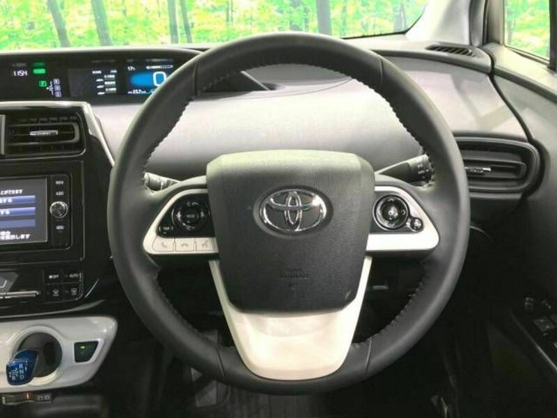 PRIUS-10
