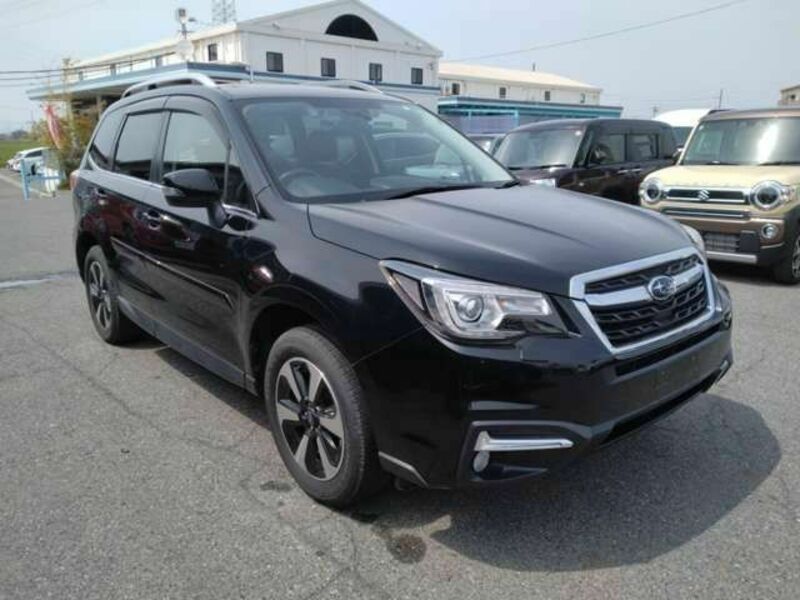 FORESTER