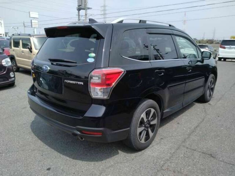 FORESTER