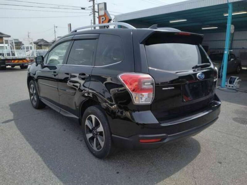 FORESTER