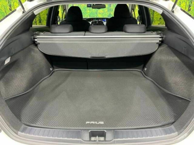 PRIUS-9