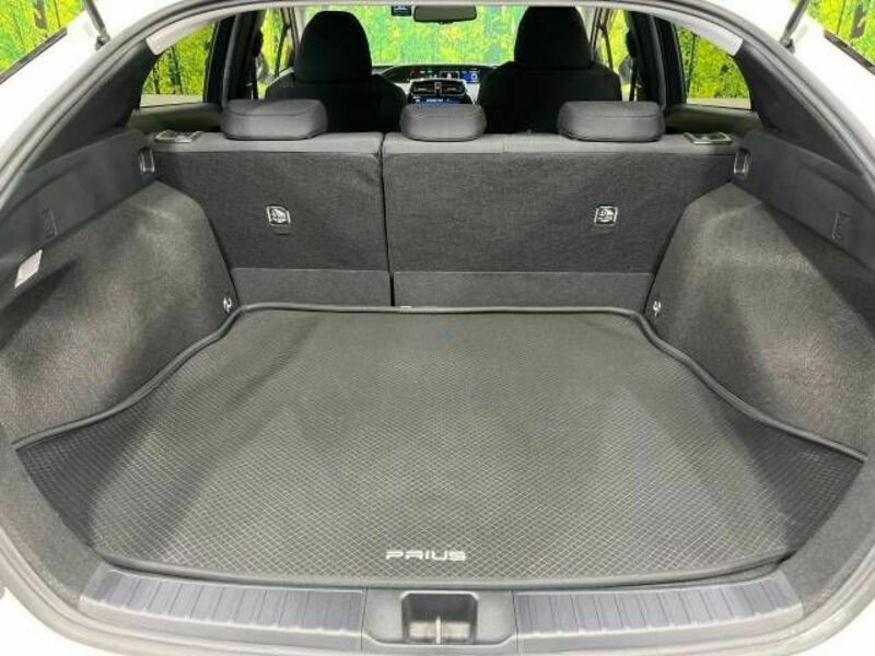 PRIUS-10