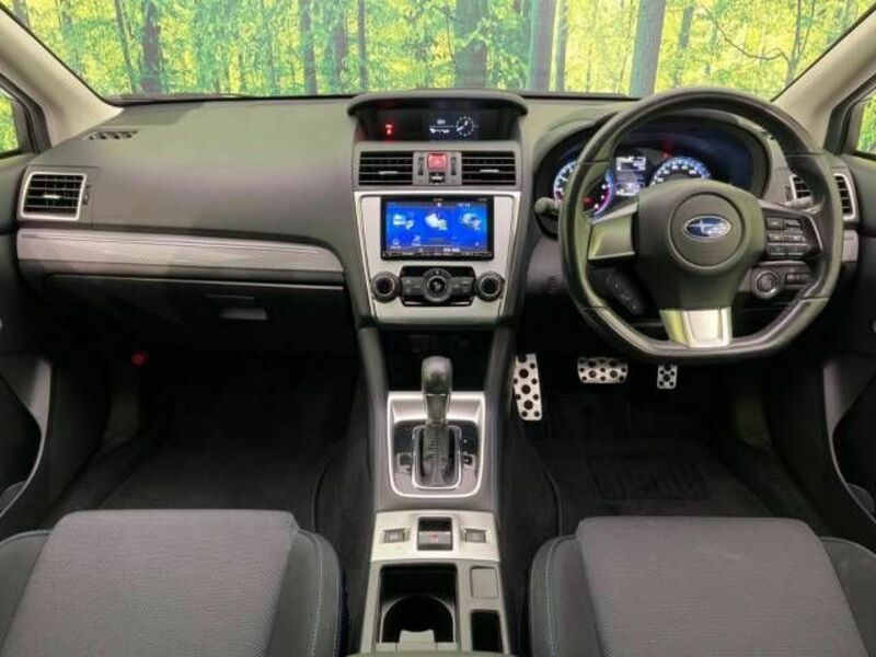 LEVORG
