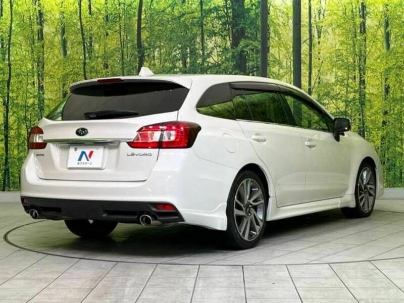 LEVORG