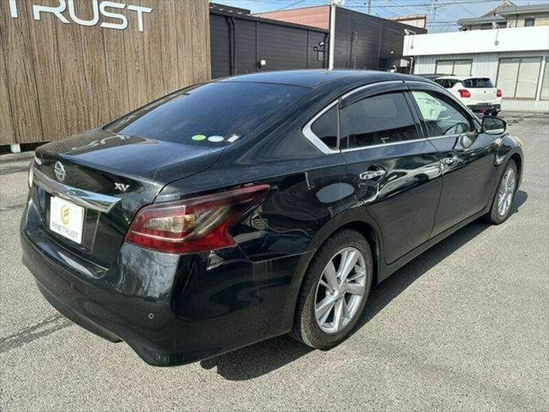 TEANA-18