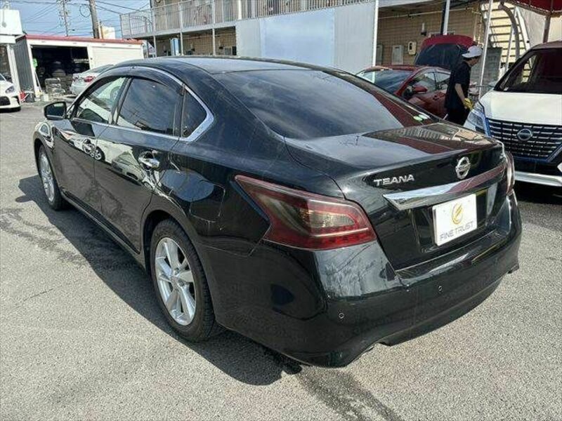 TEANA-19
