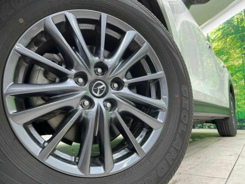 CX-8-13