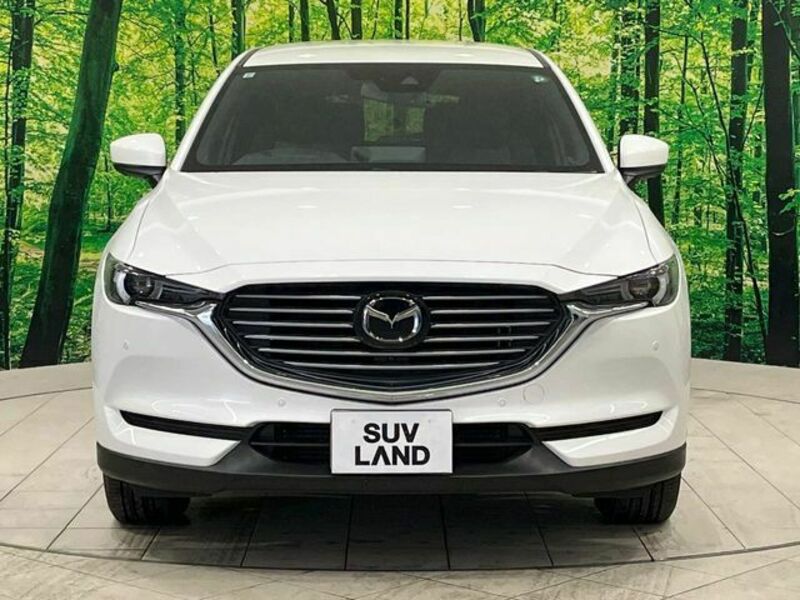 CX-8-14
