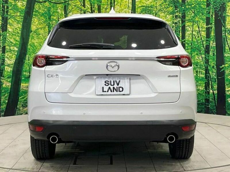 CX-8-15