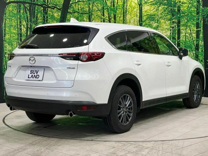 CX-8-17