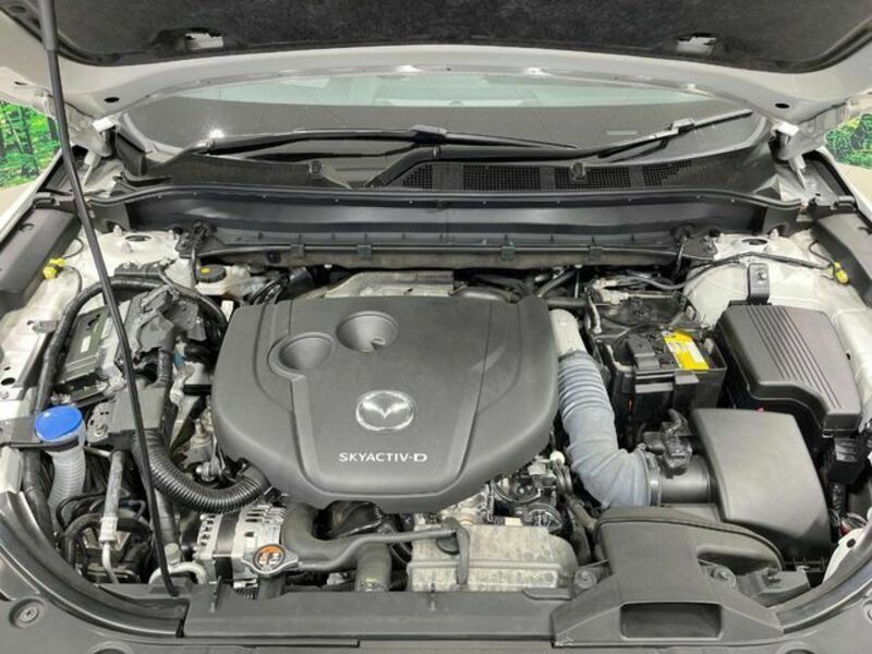 CX-8-18