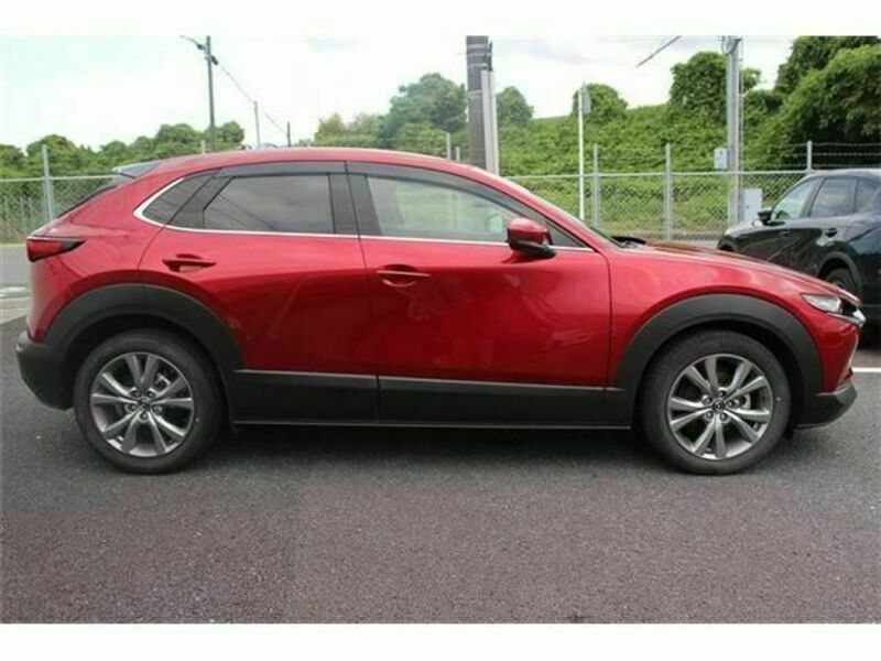 CX-30