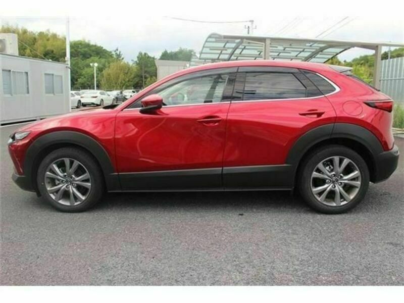 CX-30
