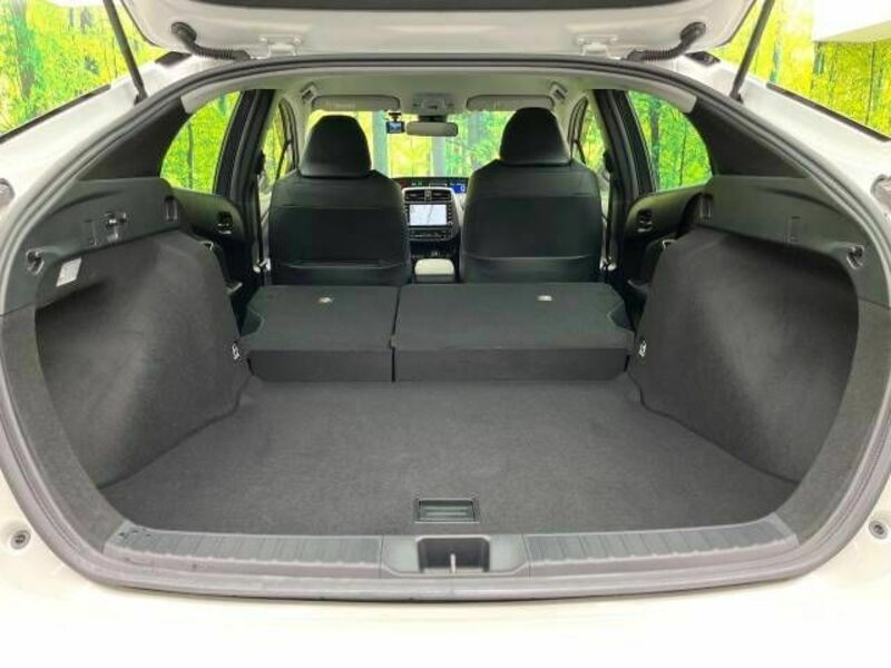 PRIUS-10