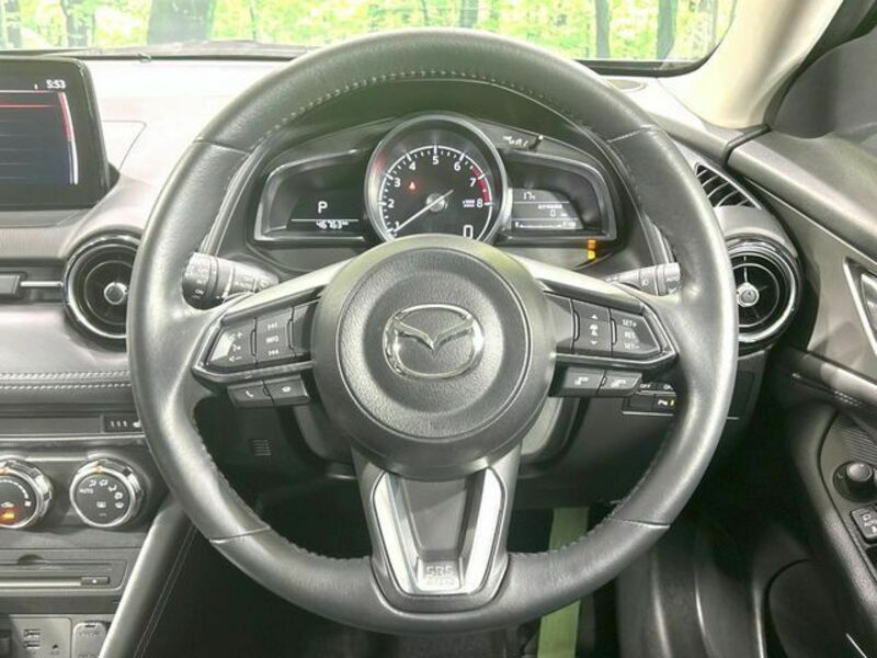 CX-3-10