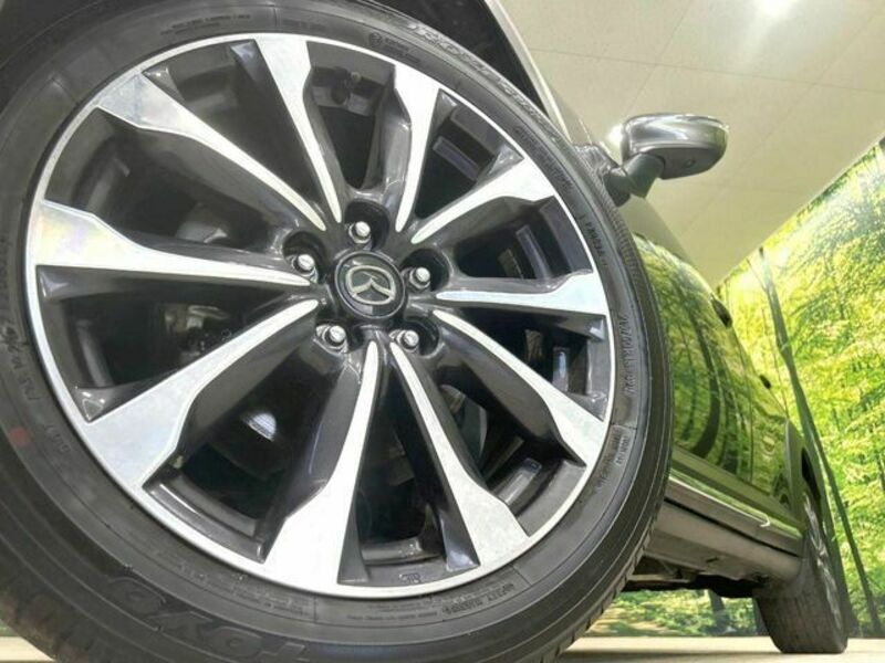 CX-3-12