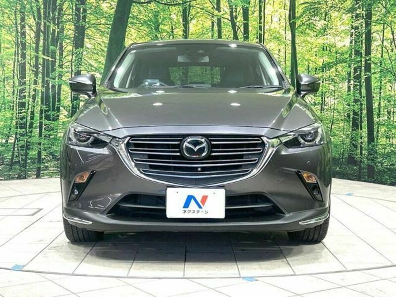 CX-3-13