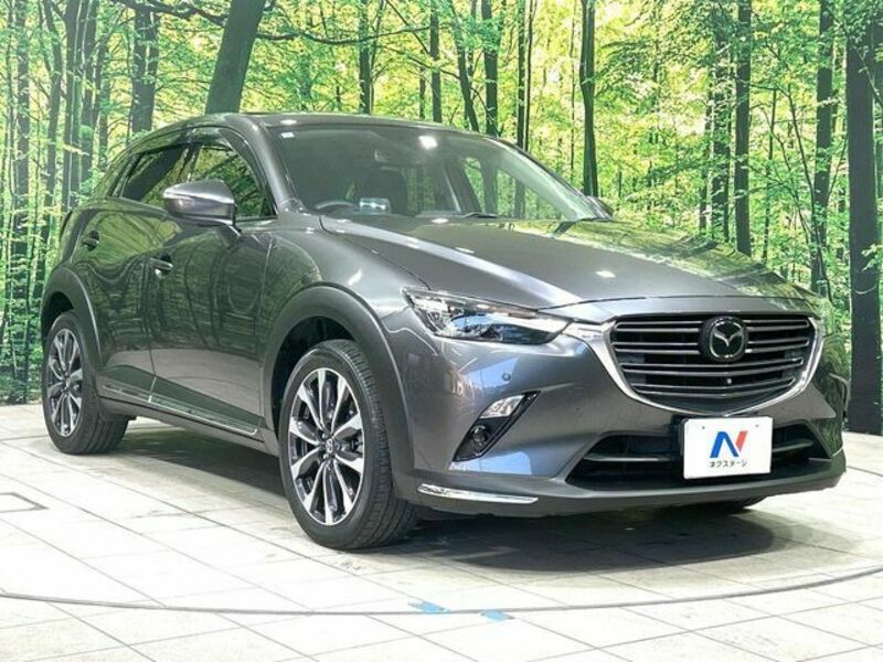 CX-3-15