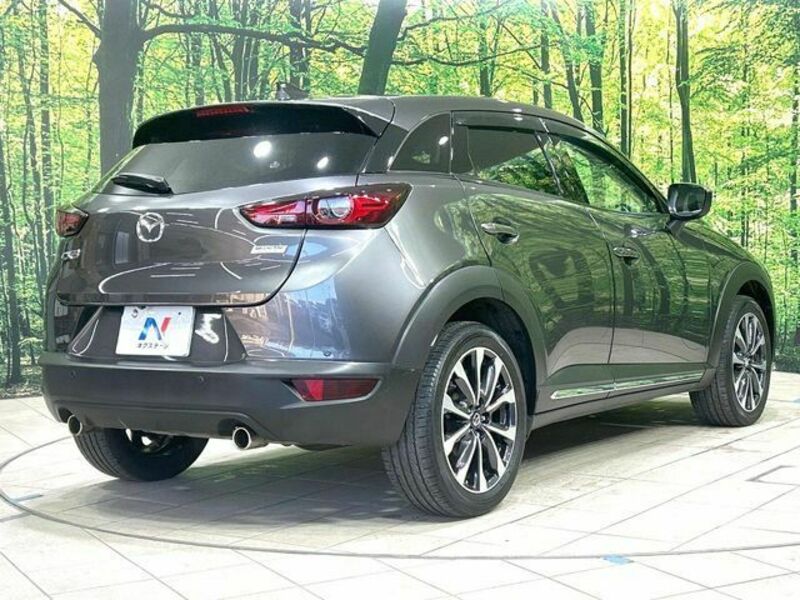 CX-3-16