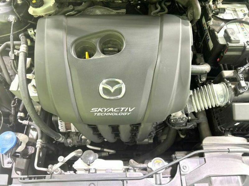 CX-3-17
