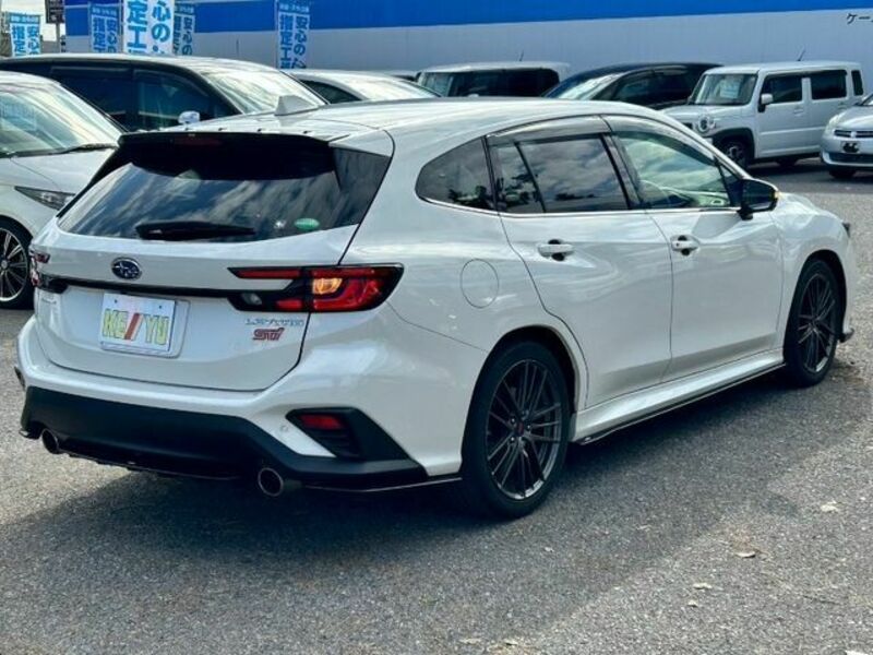 LEVORG
