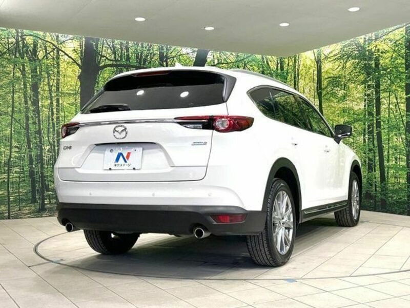 CX-8
