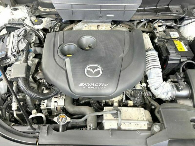 CX-8