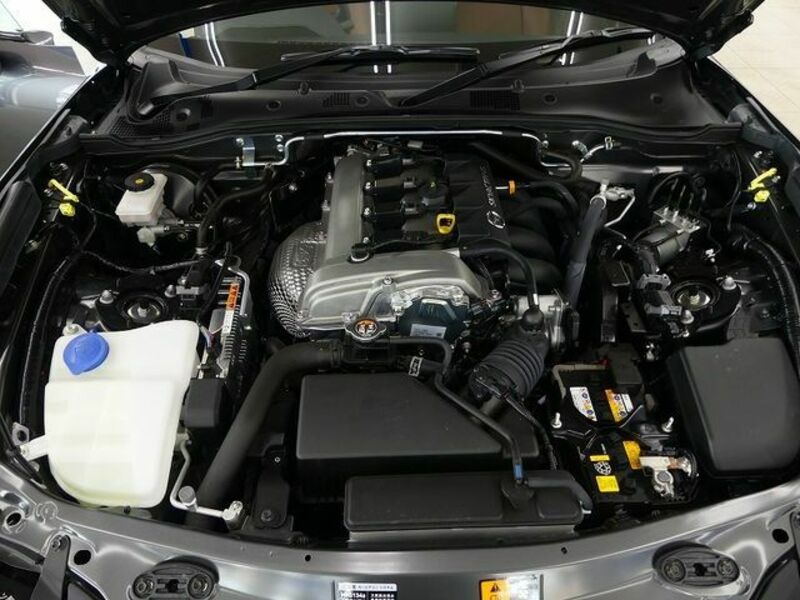 ROADSTER RF