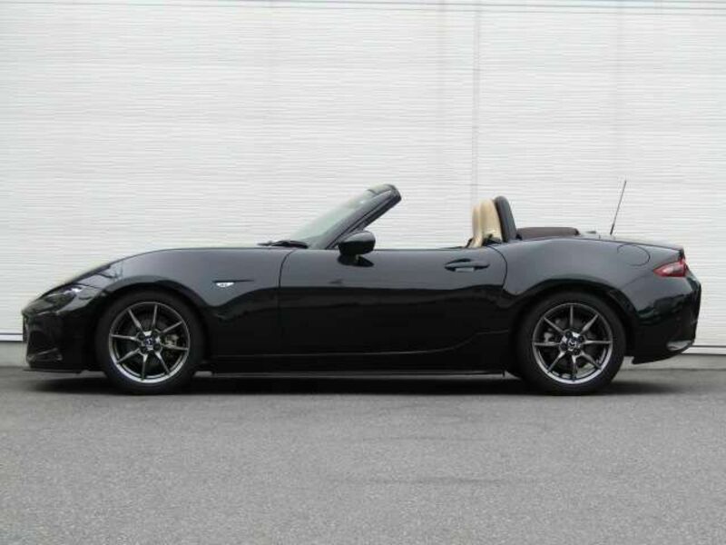 ROADSTER