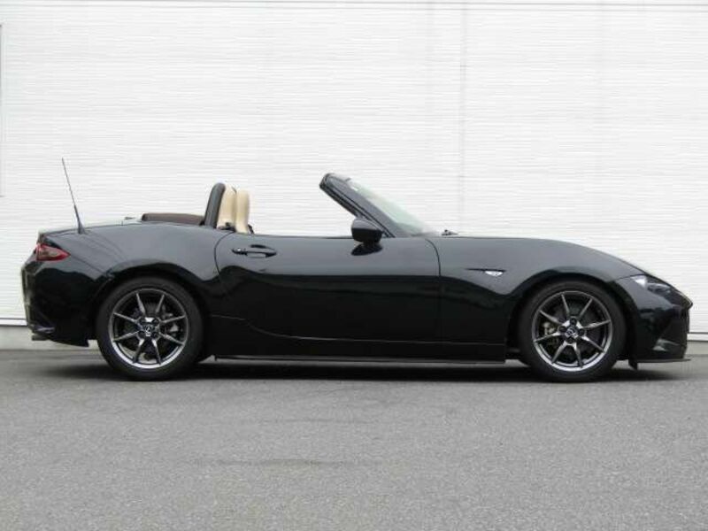 ROADSTER