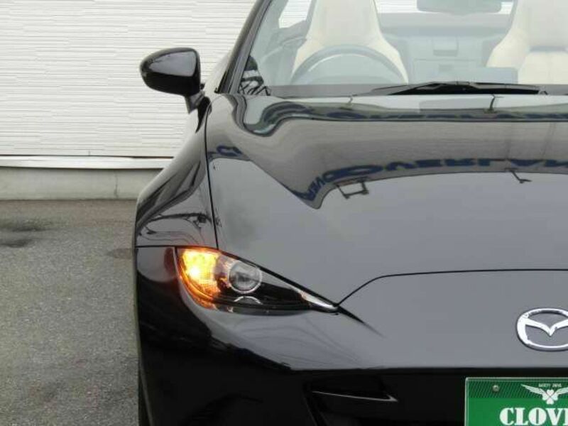 ROADSTER
