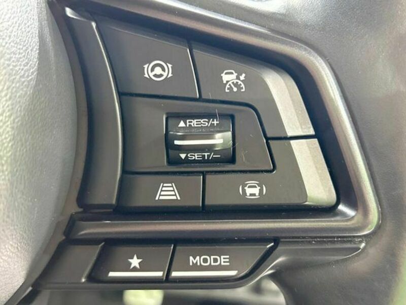 LEVORG-5