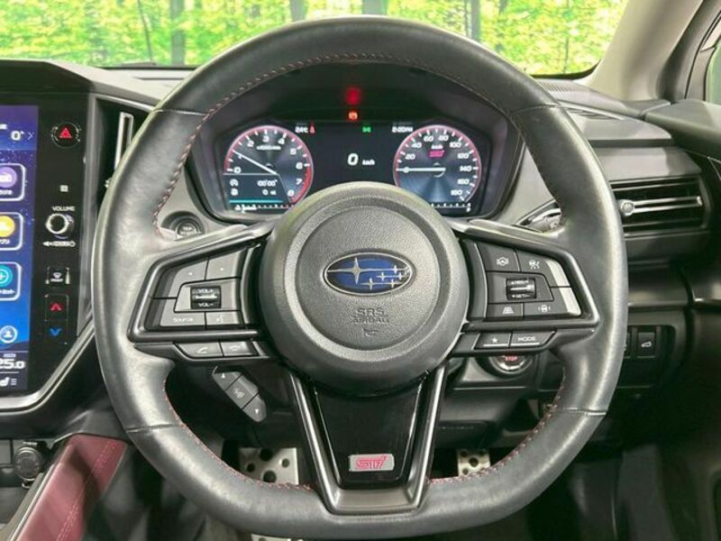 LEVORG-10