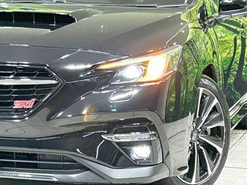 LEVORG-11