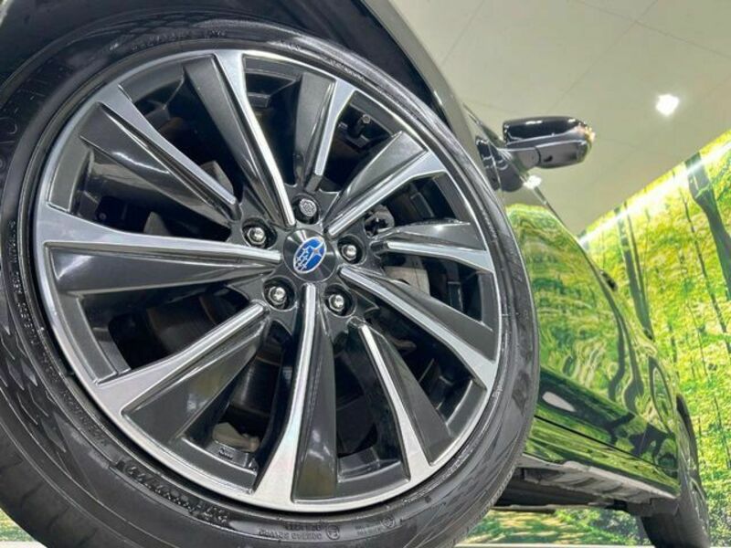 LEVORG-12