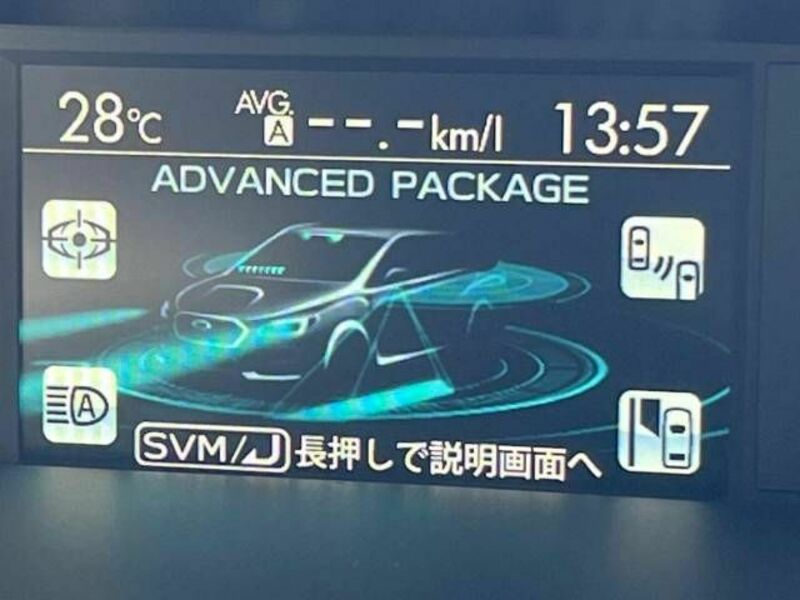 LEVORG