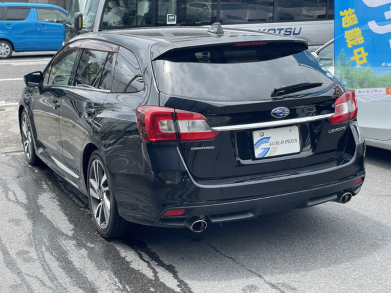 LEVORG