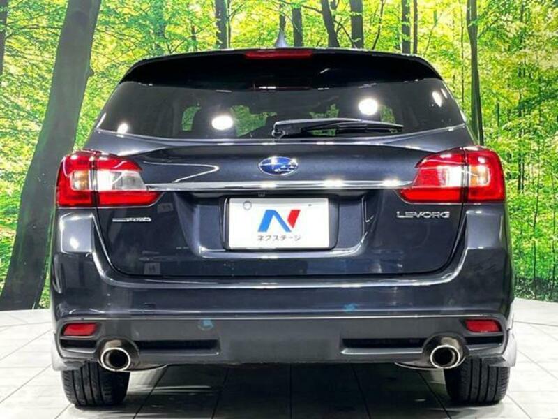 LEVORG