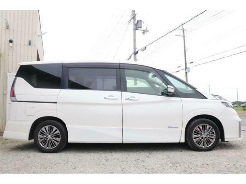 SERENA-8