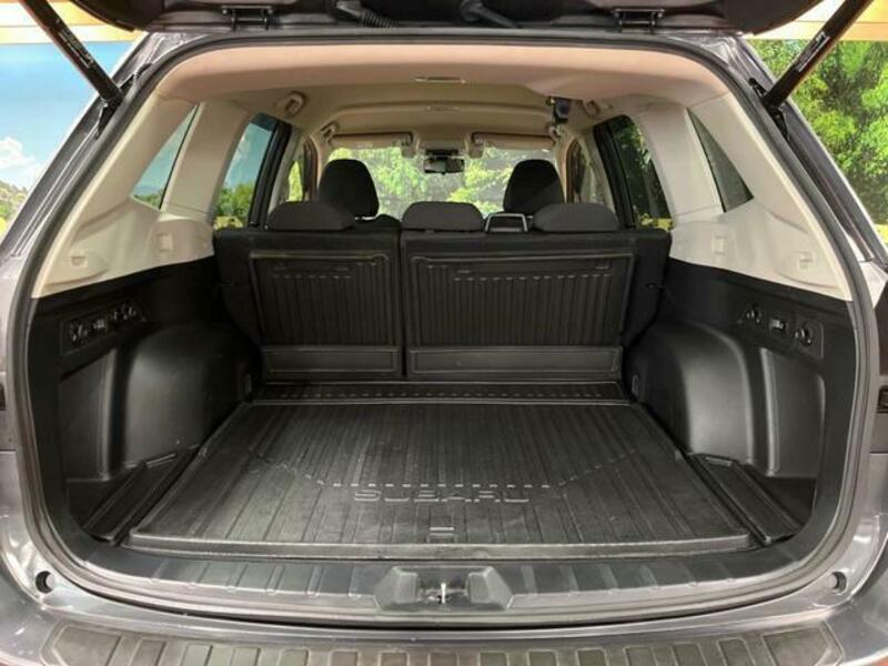 FORESTER-9