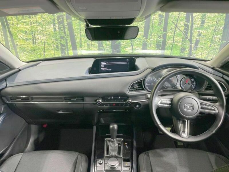 CX-30