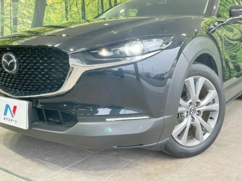 CX-30