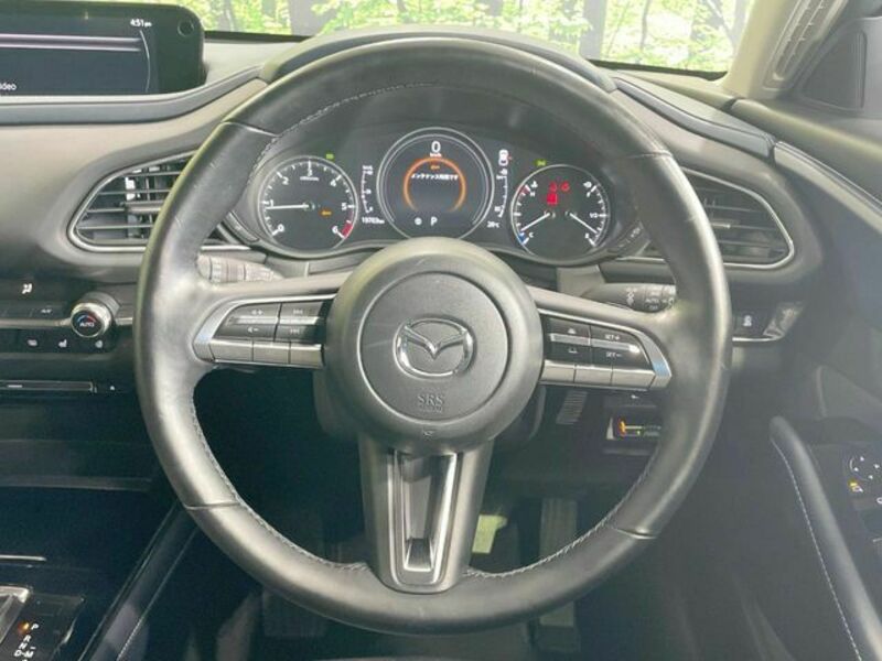 CX-30