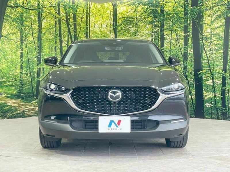 CX-30