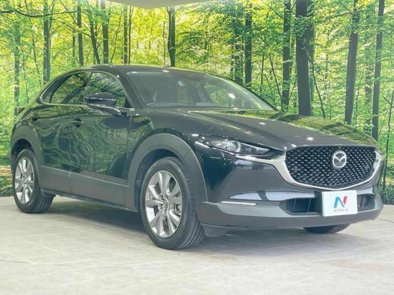 CX-30