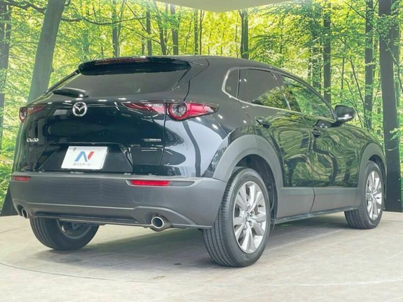 CX-30