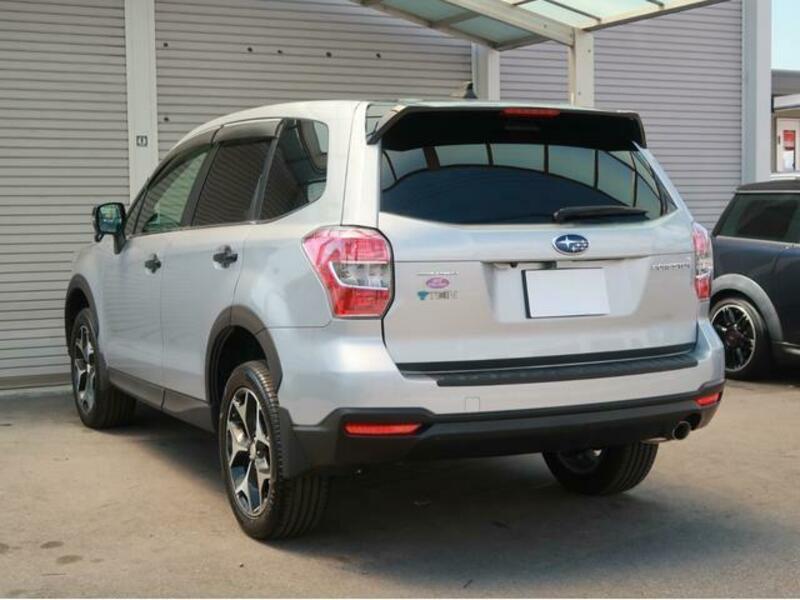 FORESTER