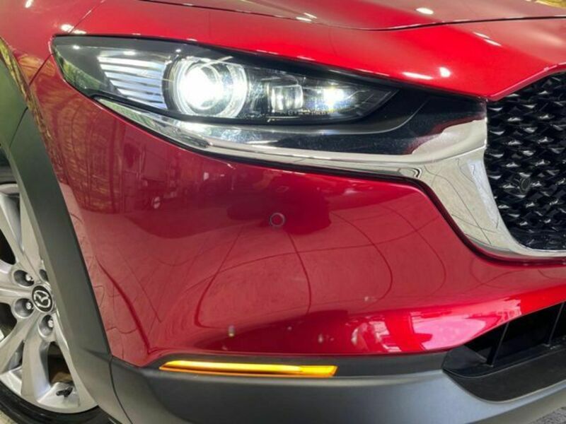 CX-30