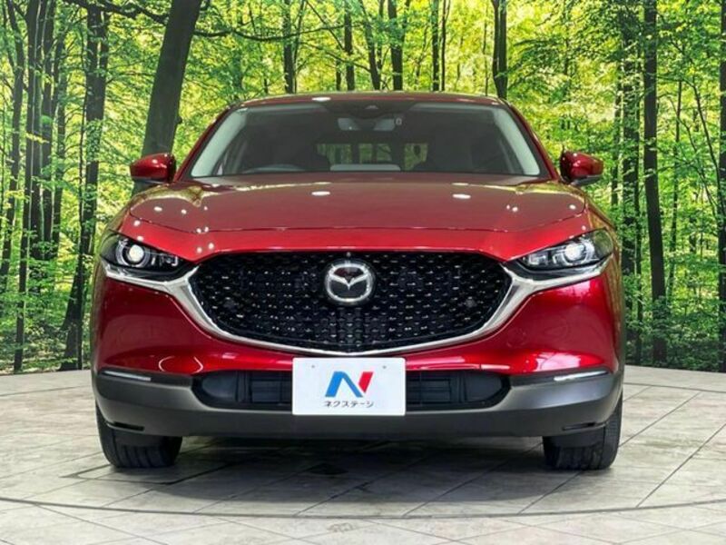 CX-30